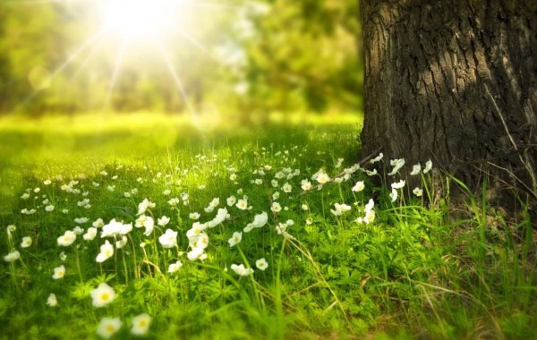 「脱炭素」勉強ブログ Vol.4
